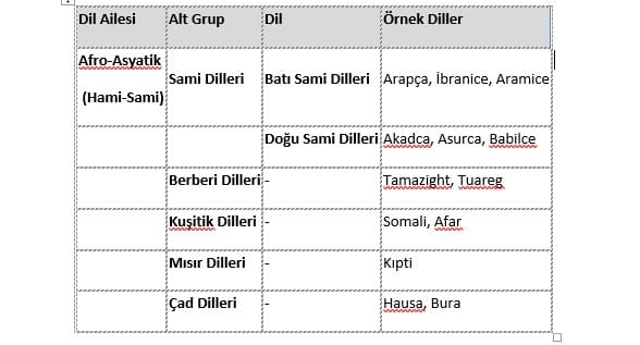 Arapça Hangi Dil Ailesindedir? 2 Arapça Hangi Dil Ailesindedir?