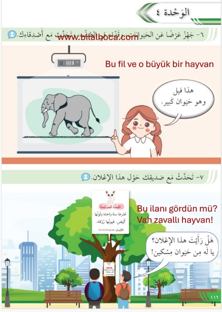 8. Sınıf Arapça Sayfa 108 120 Cevapları 6 8. sinif Arapca kitabi sayfa 116