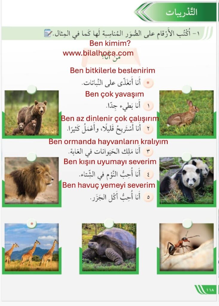 8. Sınıf Arapça Sayfa 108 120 Cevapları 7 8. sinif Arapca kitabi sayfa 118